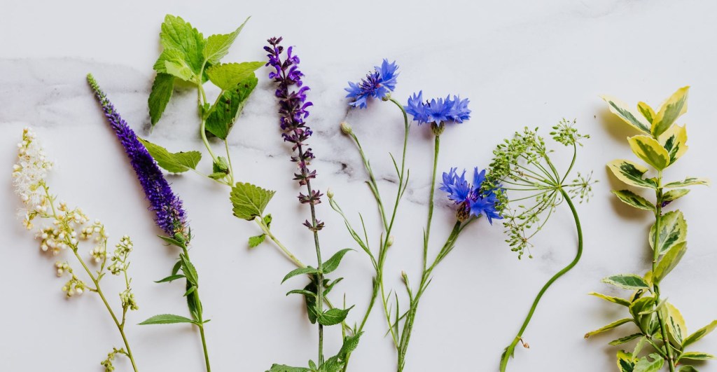 „Dann gib‘ doch einfach ein paar Kügelchen.“