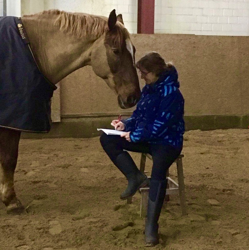 Wie läuft eigentlich eine Tierkommunikation ab?
